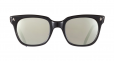 Acetate WayFarer Frame Sunglasses