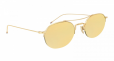 Round 18k gold and Titanium Sunglasses