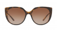 DOLCE & GABBANA EYEWEAR oversized tinted sunglasses
