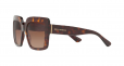 DOLCE & GABBANA EYEWEAR oversized square sunglasses