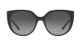 DOLCE & GABBANA EYEWEAR oversized tinted sunglasses