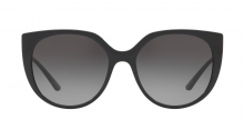 DOLCE & GABBANA EYEWEAR oversized tinted sunglasses