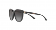DOLCE & GABBANA EYEWEAR oversized tinted sunglasses