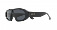 Dior trendsetter sunglasses